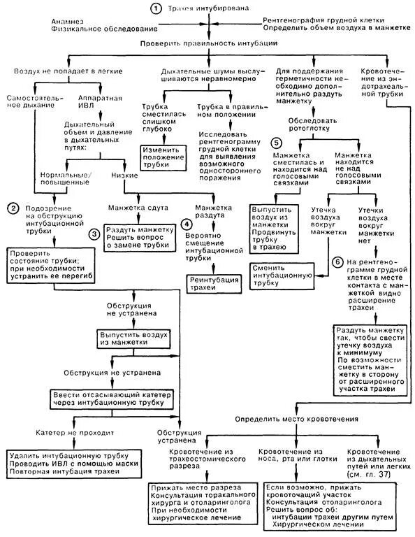 Последствия интубационной трубки. Состояние мозга при интубации трахеи. Осложнения после интубационной трубки. Интубация трахеи на рентгене легких. Осложнения интубации