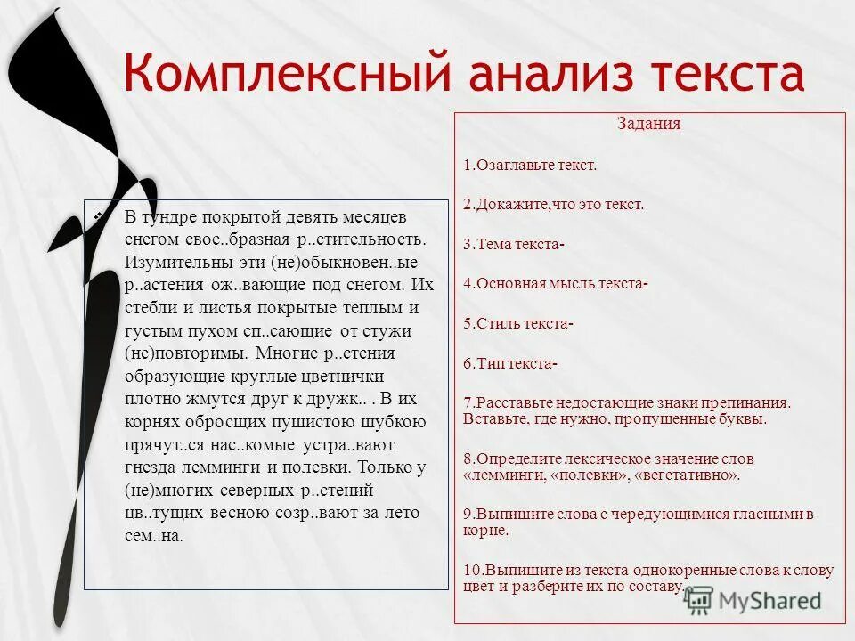 в тундре покрытой девять. стихи о тундре. в тундре покрытой девять месяцев снегом своеобразная растительность. анализ текста 7 класс русский язык. в тундре покрытой девять месяцев снегом своеобразная.