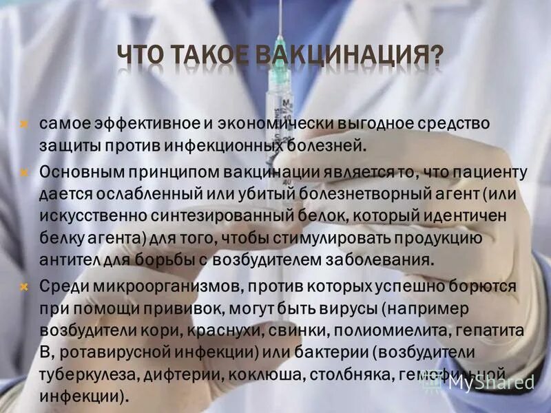 После вакцины вырабатывается. Принципы вакцинации. Принципы вакцинопрофилактики. Принципы вакцинации населения. Основополагающие принципы вакцинации.