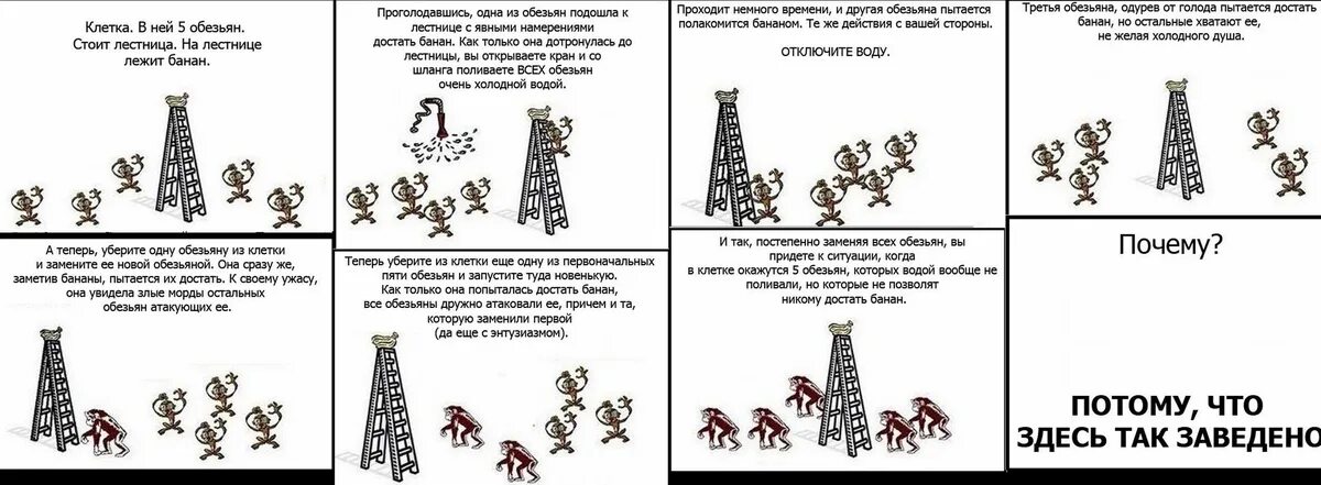 А почему здесь так тихо. Здесь так заведено обезьяны анекдот. 'Rcgthbvtyn c j,tpmzyfvb pltcm NFR ghbyznj. Самой природой так заведено. Эксперимент здесь так принято.