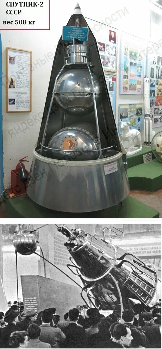 Спутник целина д. Белка и стрелка полёт в космос 1958. 6. Музей ркк энергия корабль восток. 6.