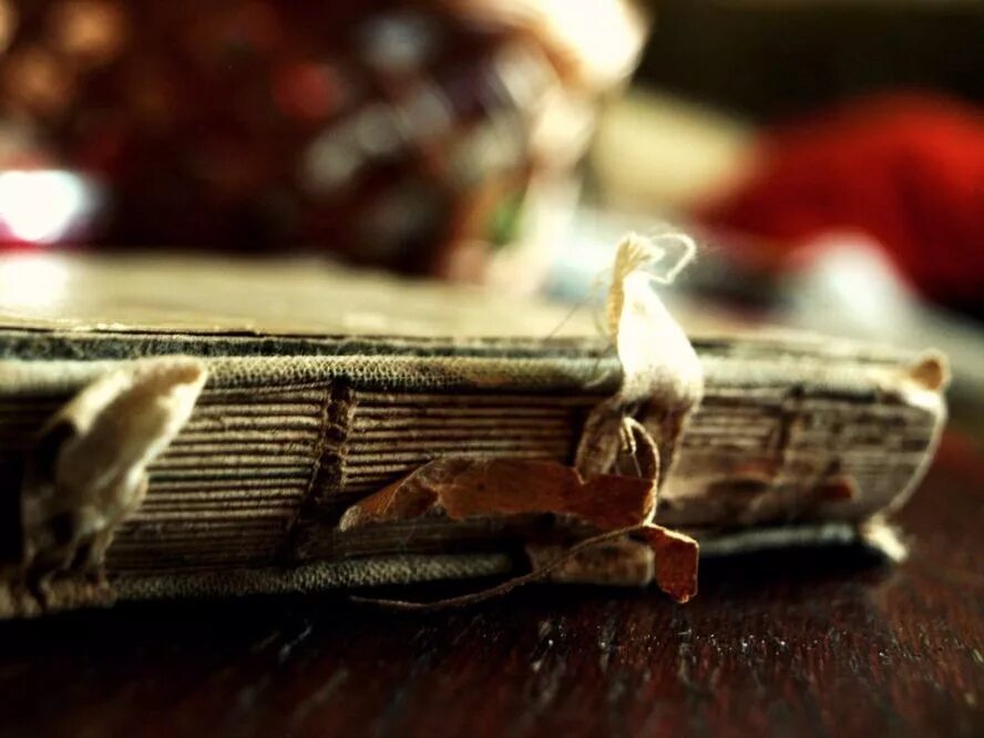 Древняя книга рун. Trimensions дневник вампира. Дерев дневник очень. Дерев дневник очень. Записная книжка с замком.