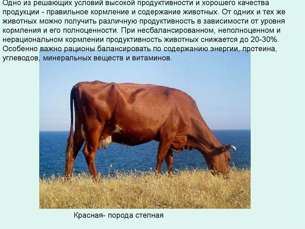 Племенное качество животных