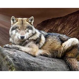 Тотемное животное волк