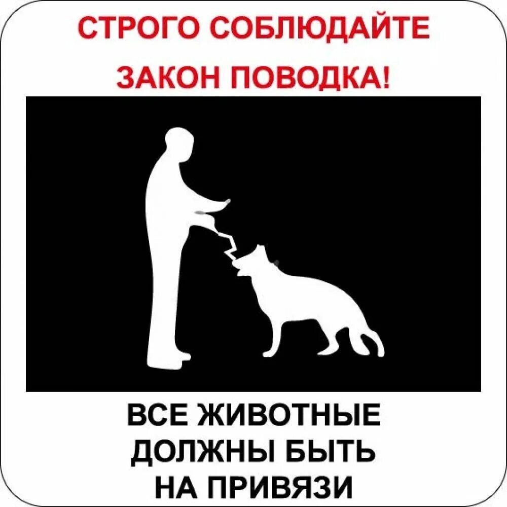 Держите собак на привязи. Таблички для собачников. объявление о содержании собак. плакат для владельцев собак. самовыгул собак.
