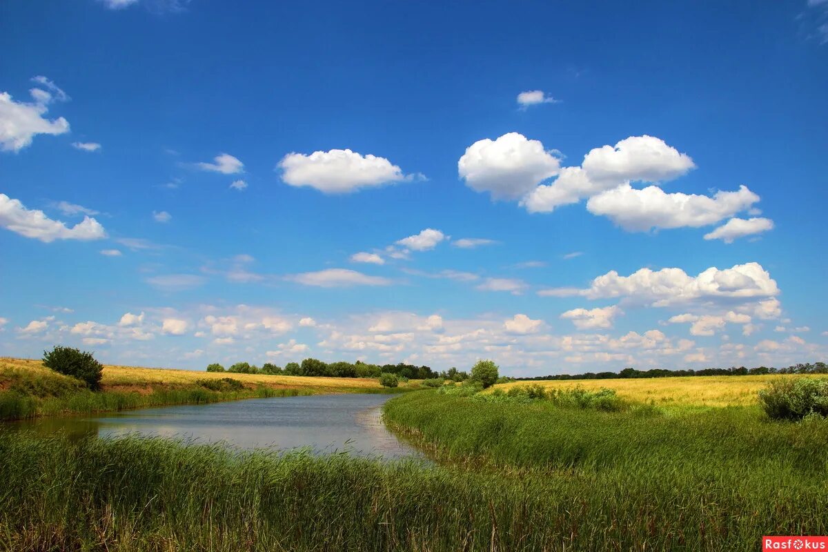 болотистые луга в астраханском заповеднике. саратов степи. озерно-камышовые плавни. пруд степной фото. и пруды и степи ожили.