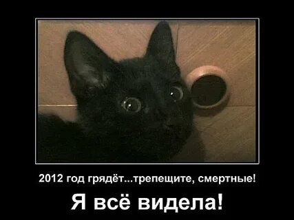 Трепещущая или трепещащая