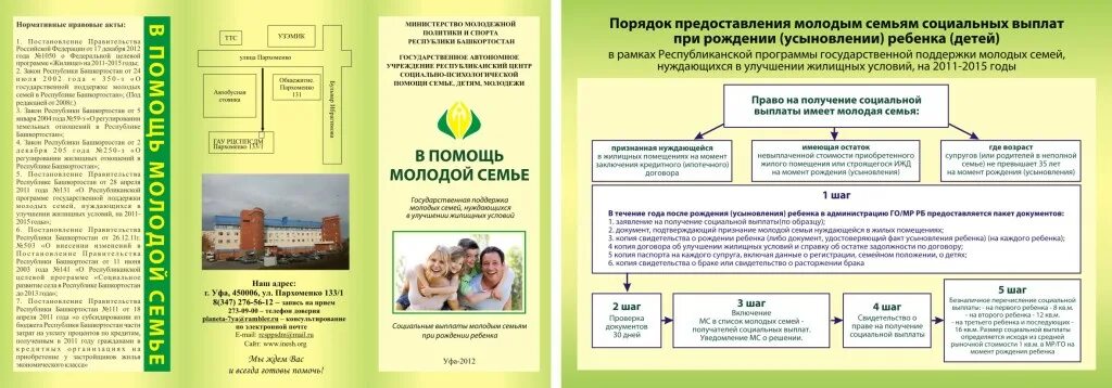 Как помочь молодой семье проект. Буклет для молодых семей. Программа молодая семья презентация. Программа поддержки молодых семей. Концепция молодая семья.