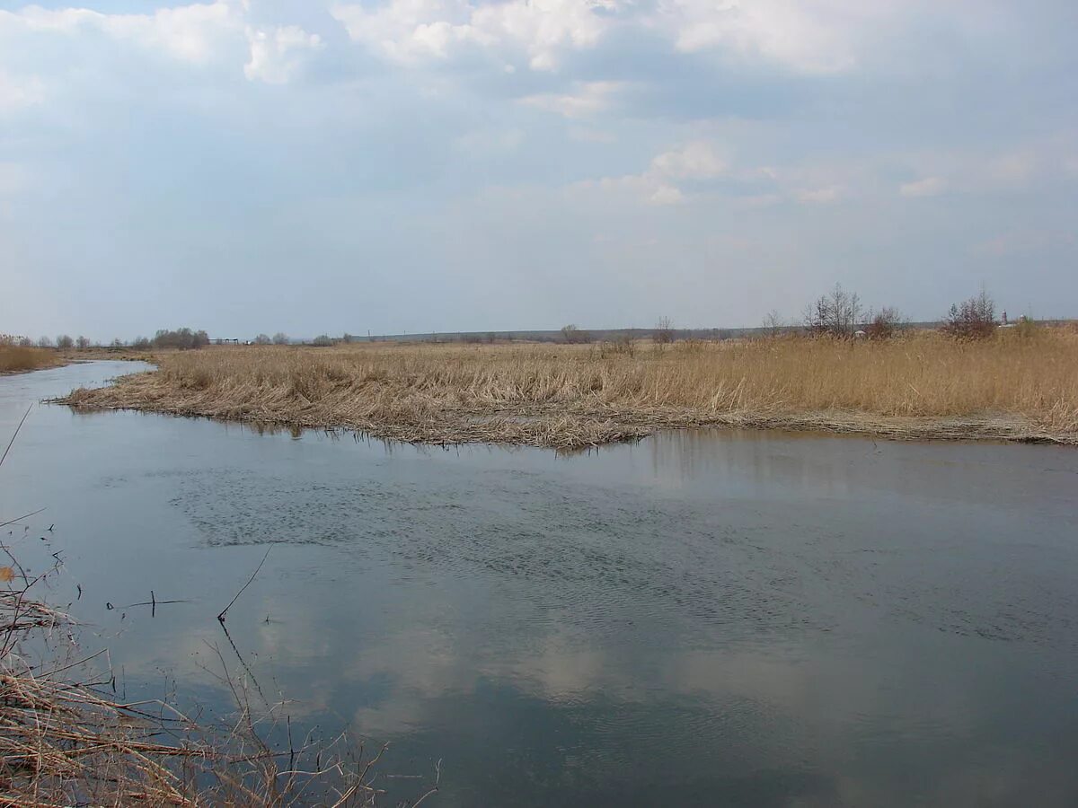 Потудань белгородская область. Река потудань. Скупая потудань воронежская. Коротояк воронежская область река потудань. Река потудань воронежская область.