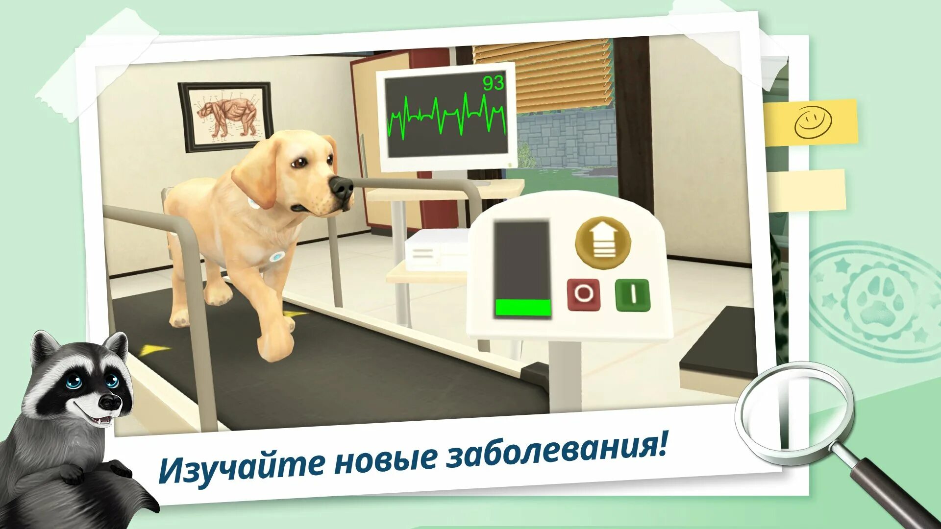 Kinito pet game. Больница для животных. Игра ветеринарная клиника. Игра ветеринар для животных. Моя клиника для животных игра.