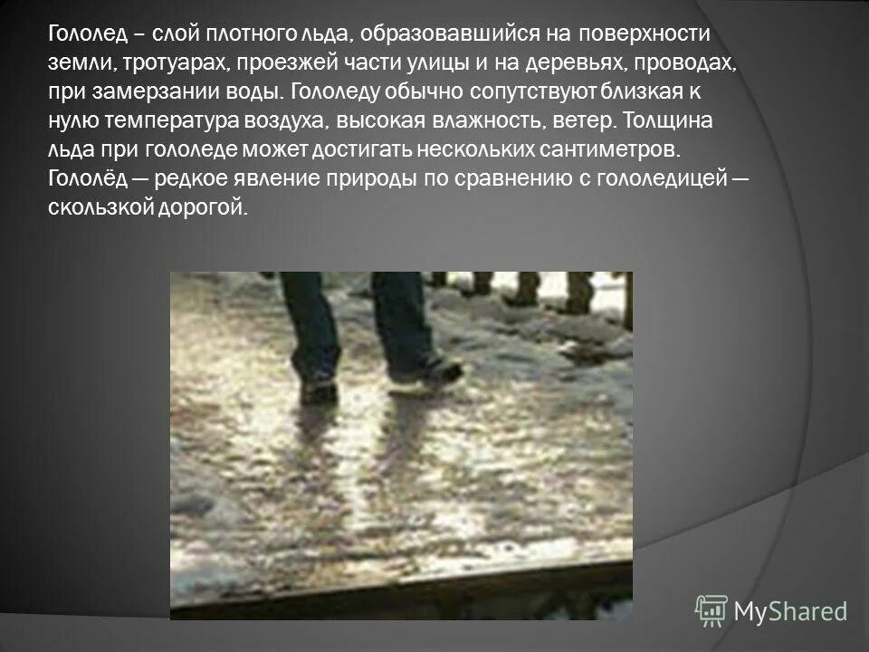 Слой плотного льда. Влияние ветра на растения. Слой плотного льда. Таяние льдов в антарктиде. Гололед.
