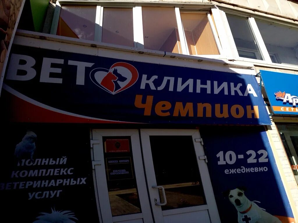Ветклиника череповец телефоны. Ветеринарная клиника череповец наседкина. ветеринарная клиника череповец чемпион. ветклиника чемпион череповец наседкина. ветеринарная клиника череповец заречье.
