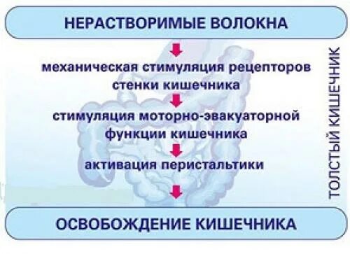 Нерастворимые пищевые волокна. Растворимая клетчатка и нерастворимая клетчатка. Клетчатка нерастворимые пищевые волокна. Нерастворимые пищевые волокна список.