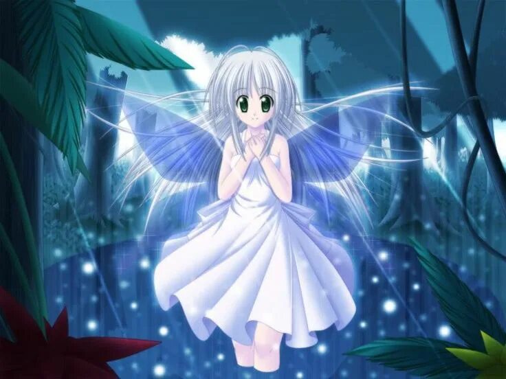 Fairy show. Fairy show