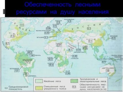 Какие страны обладают лесными ресурсами