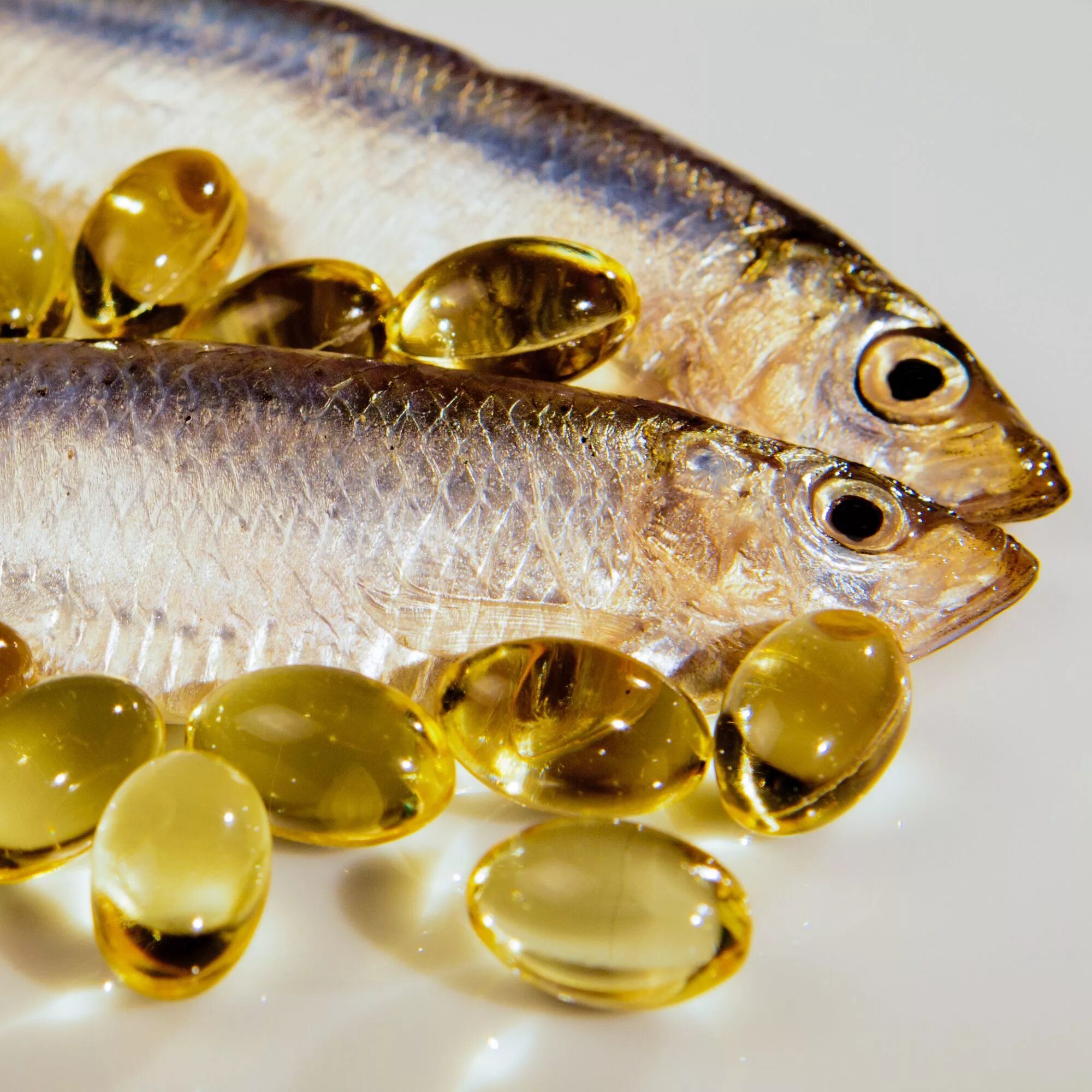 масляная эсколар. масляная рыба макрель. рыба жир. клыкач рыба. рыба разными способами.