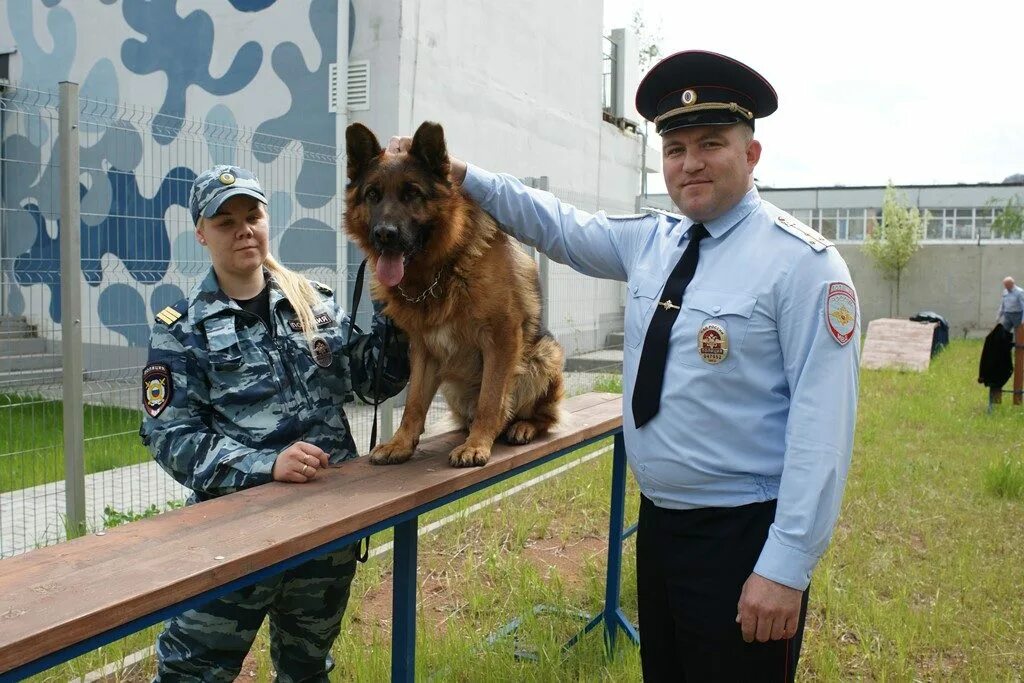 Службы россии по г санкт. ЦКС УВД по ЮАО ГУ МВД России по г Москве. ЦКС ГУ МВД России. Кинологическая служба ГУ МВД ЮАО.