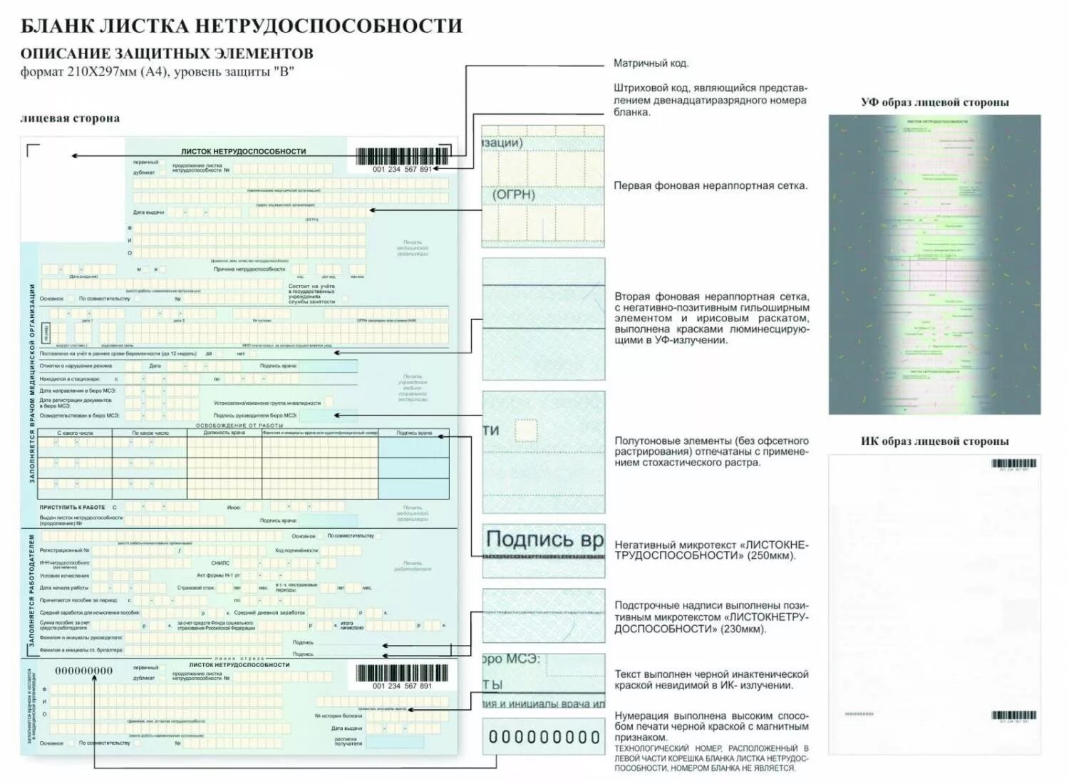 Сколько длится проверка больничного листа