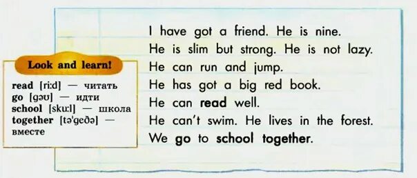 He got many friends. Have или have got. I have got правило. Have got в английском языке. Have has got правило.