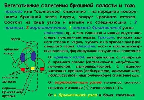 Почему солнечное сплетение