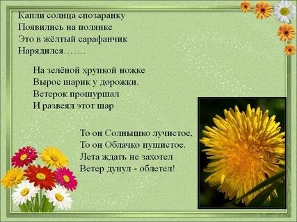 Песня желтые одуванчики