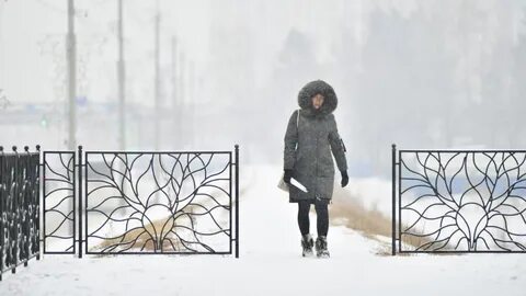 Сегодня последняя зима