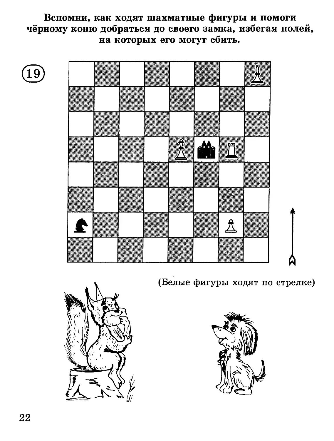 Задача шахматного коня