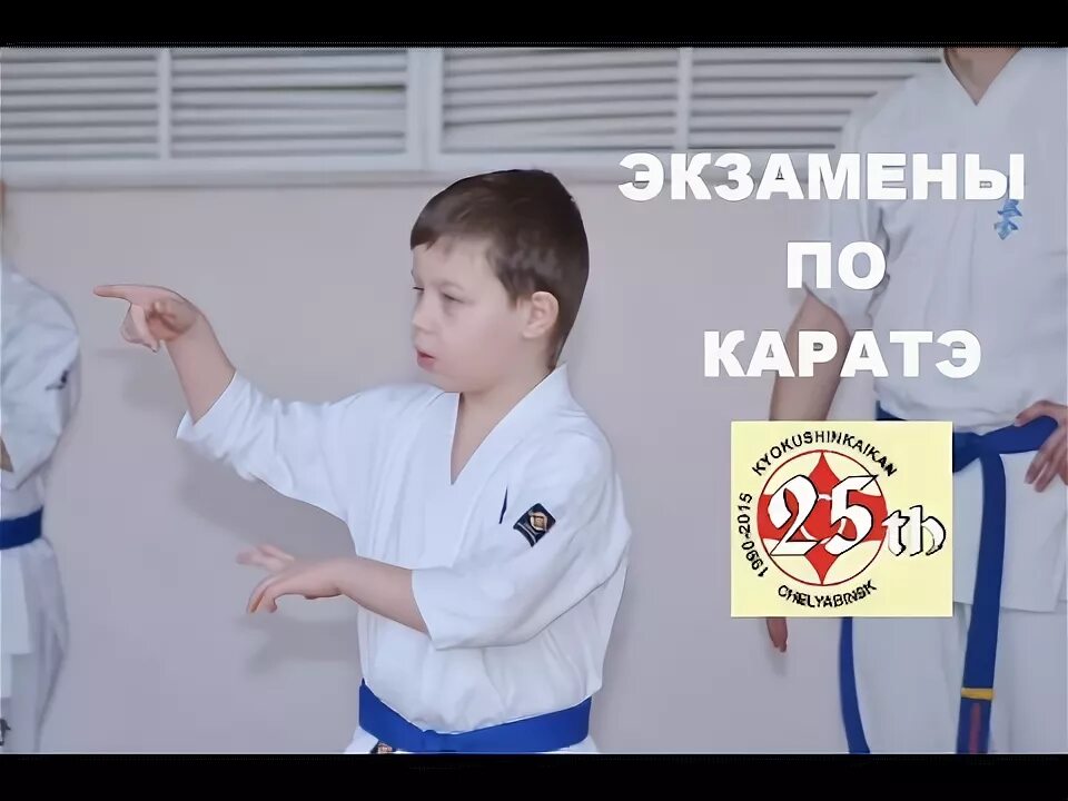 Мухаммад карате. Карта на зеленый пояс каратэ. Аттестация на пояса каратэ. Экзамен на 8 кю каратэ шотокан. Карате экзамены.