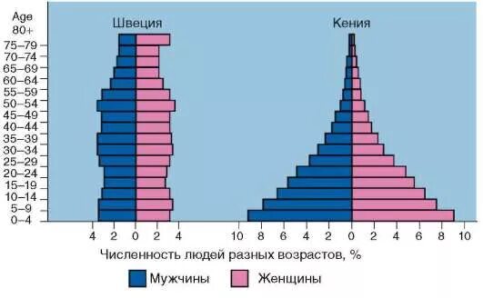 Население швеции численность на 2023. Половозрастная пирамида Швеции. Возрастно-половая пирамида Кении. Демографическая пирамида Швеции. Половозрастная пирамида Индонезии.