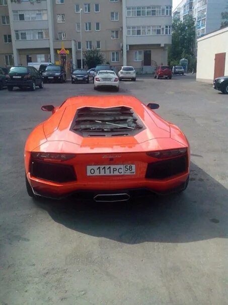 Районные ветслужбы Пензенской области оснащены новыми автомобилями