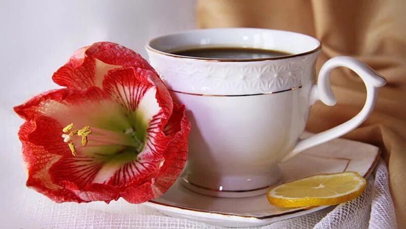Доброе утро в 2 словах. Чашка кофе с добрым утром пятница. Утренний привет природа. Доброе пятничное утро. Доброе утро лето кофе.