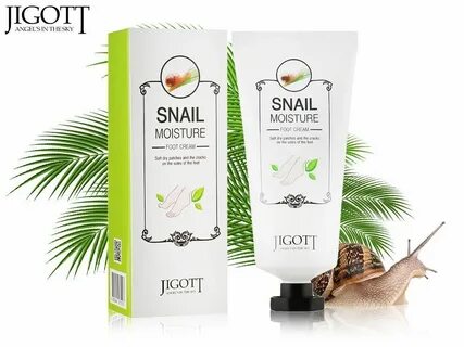 Snail moisture