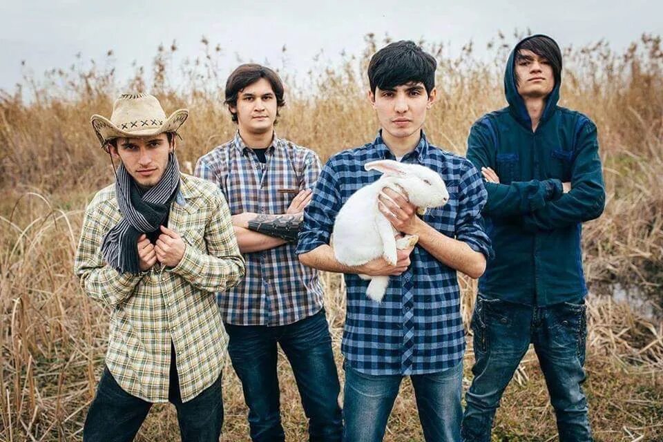 Групп белые серые и. White rabbit группа зеленоград.
