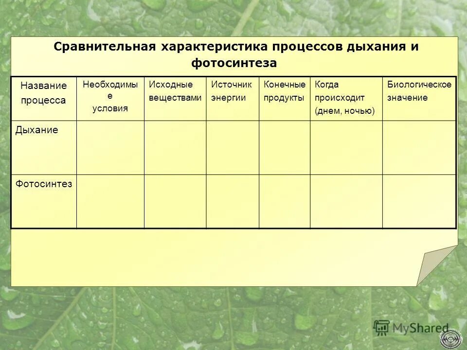 Таблица сравнение дыхания. Сравнительная характеристика процессов дыхания и фотосинтеза. Сравнительная характеристика процессов. Необходимые условия для дыхания и фотосинтеза. Сравнительная характеристика фаз фотосинтеза таблица.