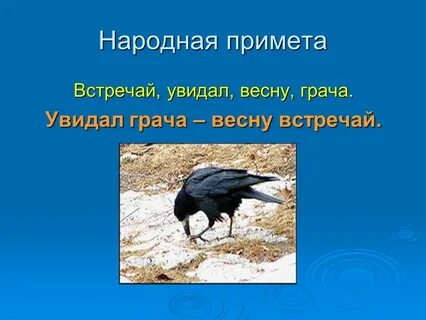 Увидал грача весну