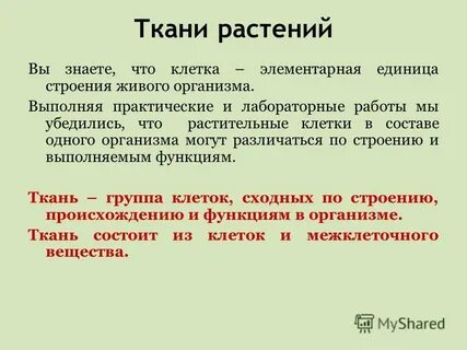 Лабораторная работа ткани растительных организмов