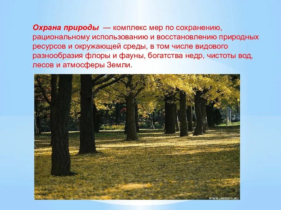 Сохранение природных комплексов и охрана