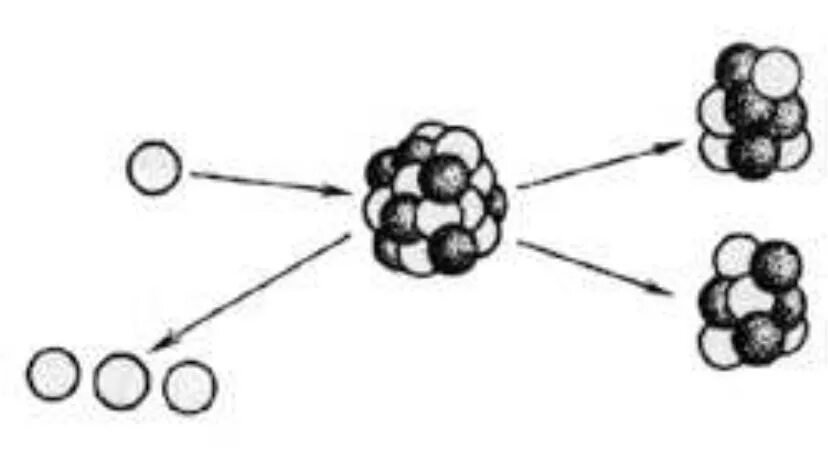 При захвате нейтрона ядром 24. Реакция открытия нейтрона рисунок. Цепные ядра. Схема деления плутония. Рисунок деления ядра урана схема.