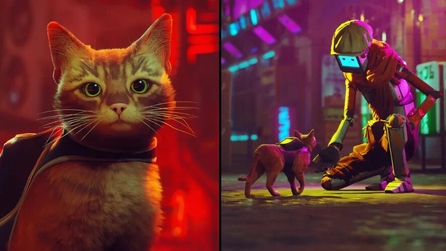 Кошка из игры. Игра про кошку на ПК 2022. Игра про синих и красных кошек. Sony Cat game. Новая игра cats