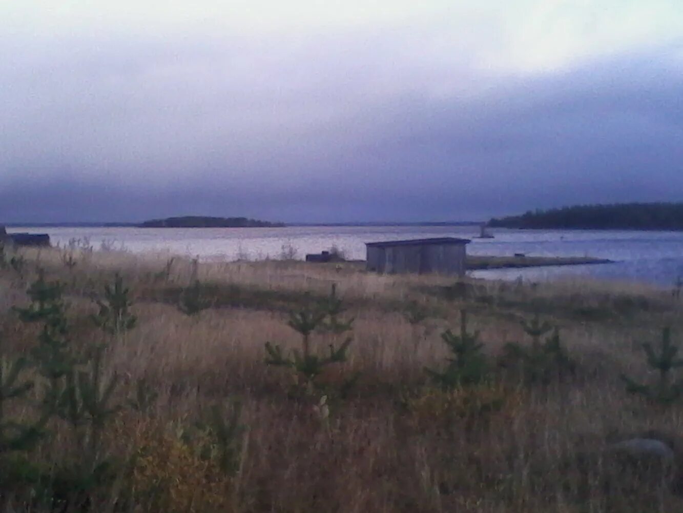 погода в иделе карелия.