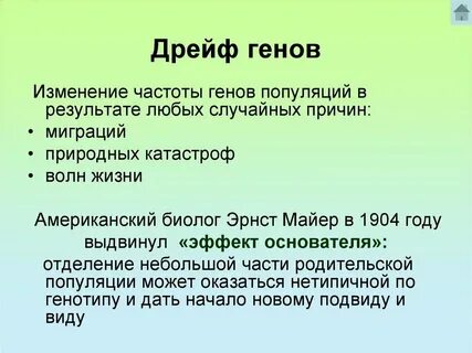 Случайное изменение генов это