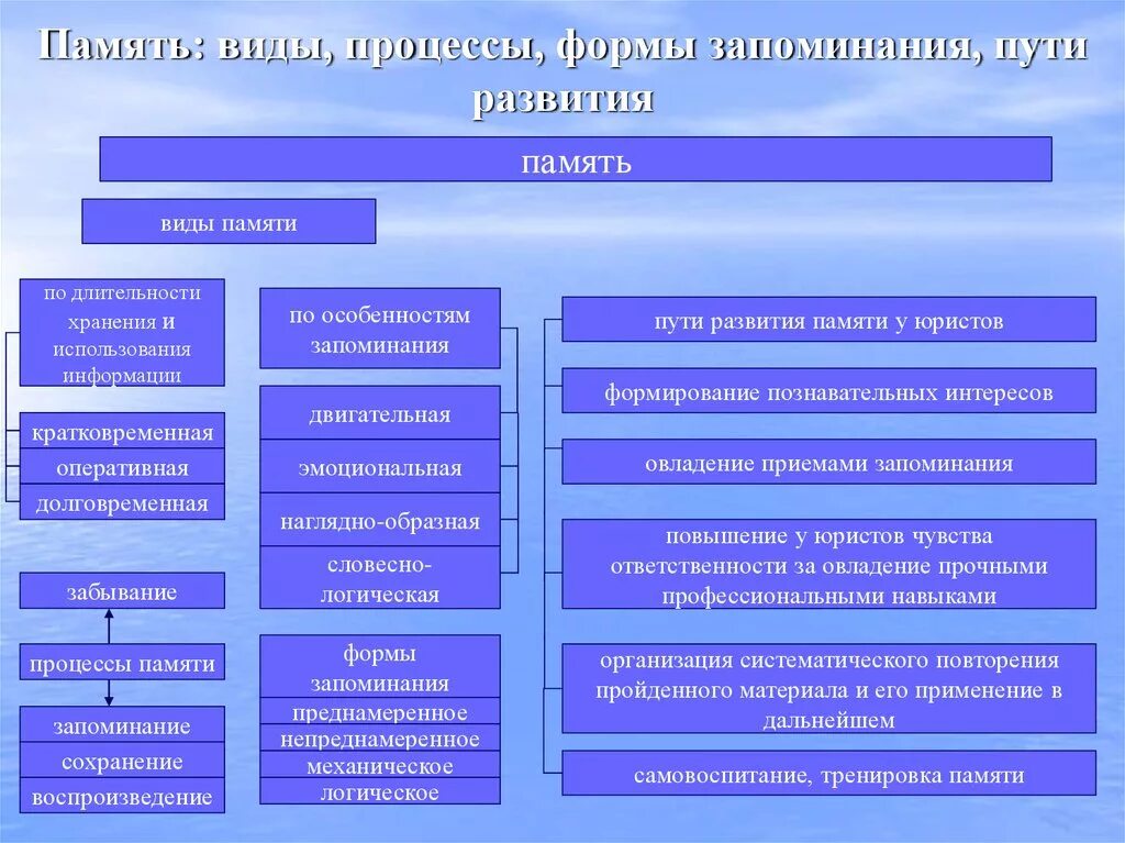 Память формы виды памяти. Память: понятие, виды, процессы. Виды и процессы памяти. Виды запоминания памяти. Память процессы памяти виды памяти.