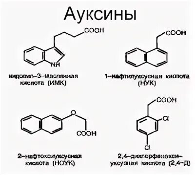 окислительный распад ауксина. ауксин иук. гормон ауксин у растений. транспорт ауксинов. гормон ауксин у растений.