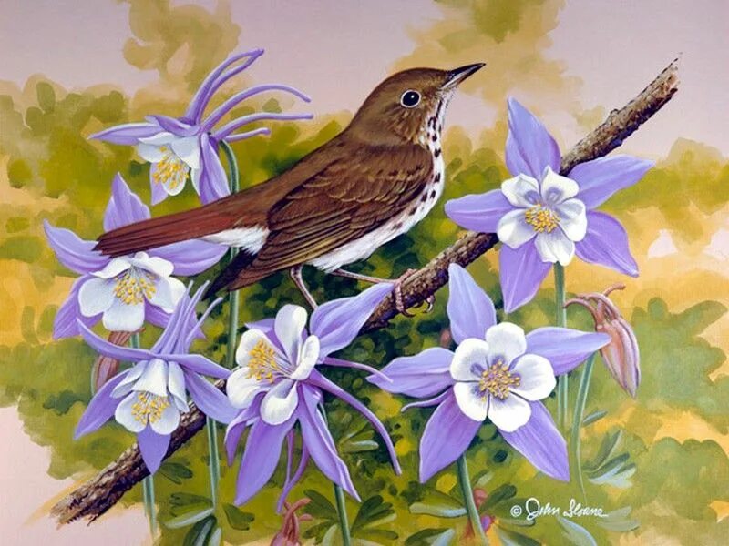May birds. Джон Слоан цветы. Джон френч Слоан художник птички. Птицы в цветах в живописи.