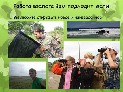 Зоологи пока не могут установить неясно
