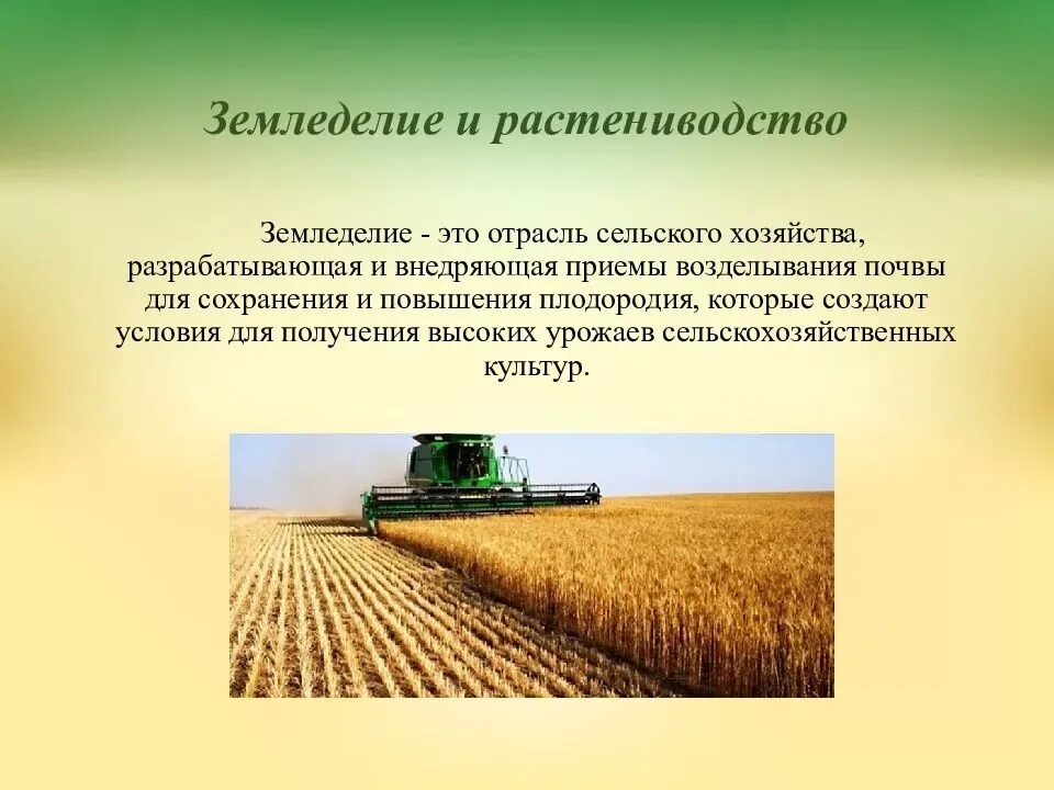 Состояние и перспективы развития сельского