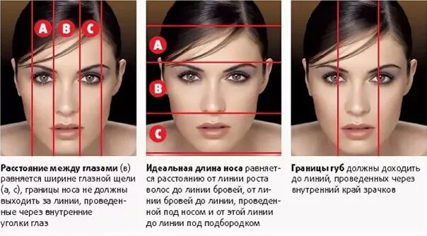 Норма лба. Пропорции лица. Золотое сечение лица в макияже. Женское лицо по Золотому сечению. Симметричные черты лица.