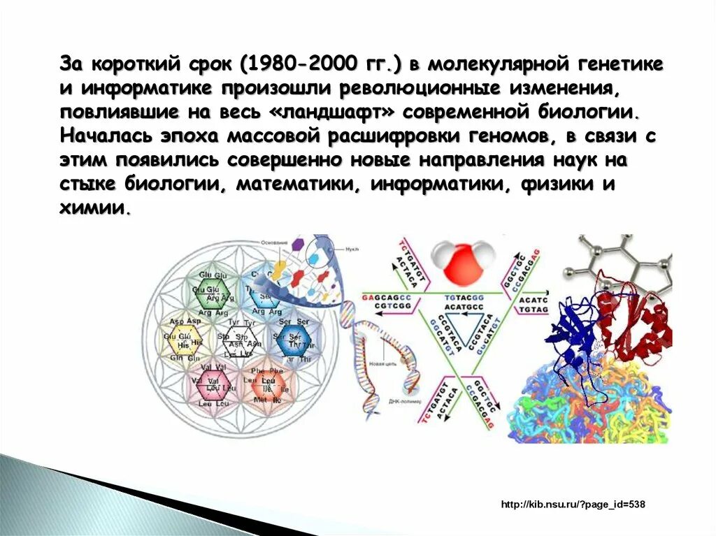 Достижения современной биологии. Метод моделирования в генетике человека. математическое моделирование в генетике. науки на стыке биологии и других наук.