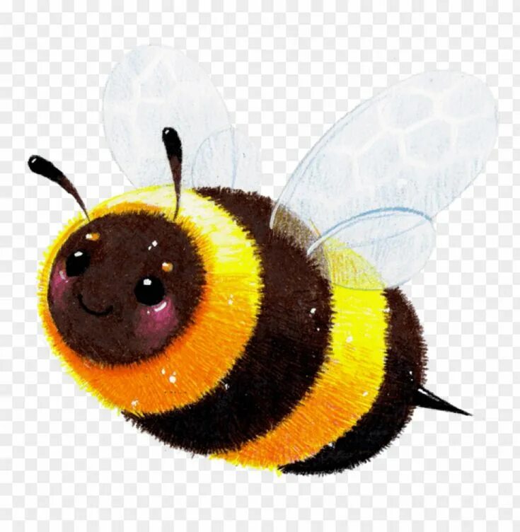 Учёные открыли уникальную живую "систему отопления" в пчелином улье Bee, Bee kee