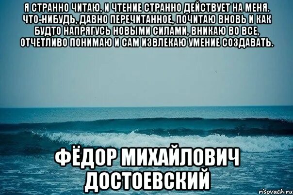Вы прочитали лишь
